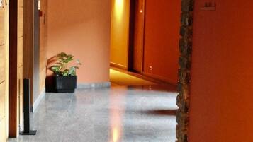 Un pasillo con piso pulido, una planta en maceta y una pared de acento de piedra.