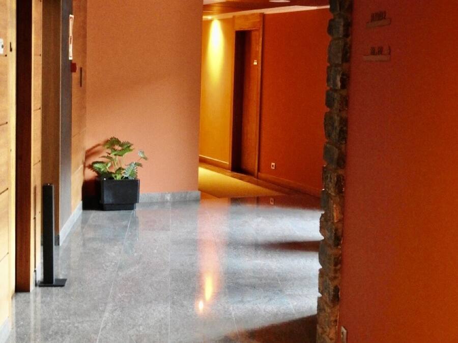 Un pasillo con piso pulido, una planta en maceta y una pared de acento de piedra.