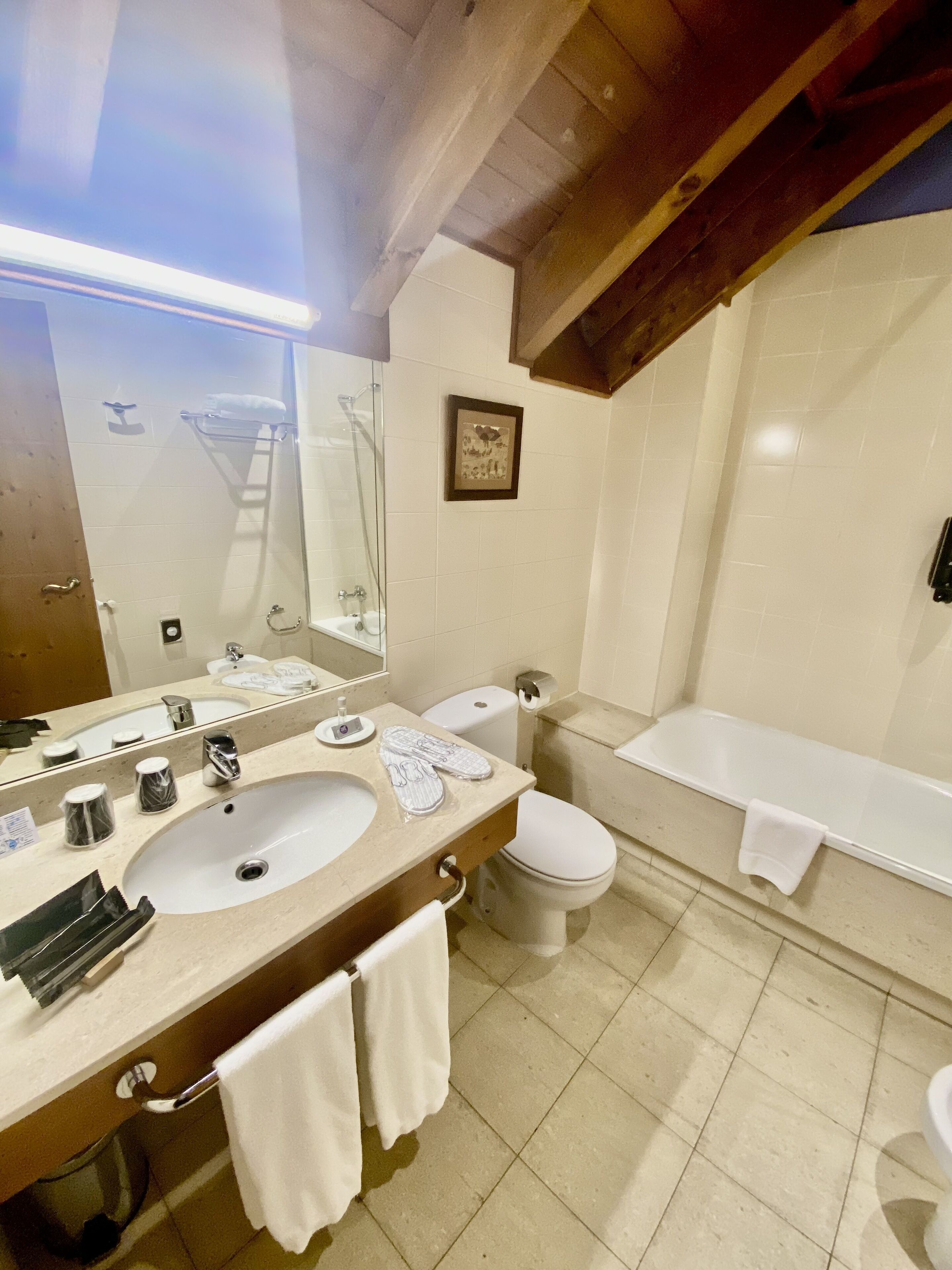 double room | bathroom | bathtub, free toiletries, hair dryer, dressing gowns