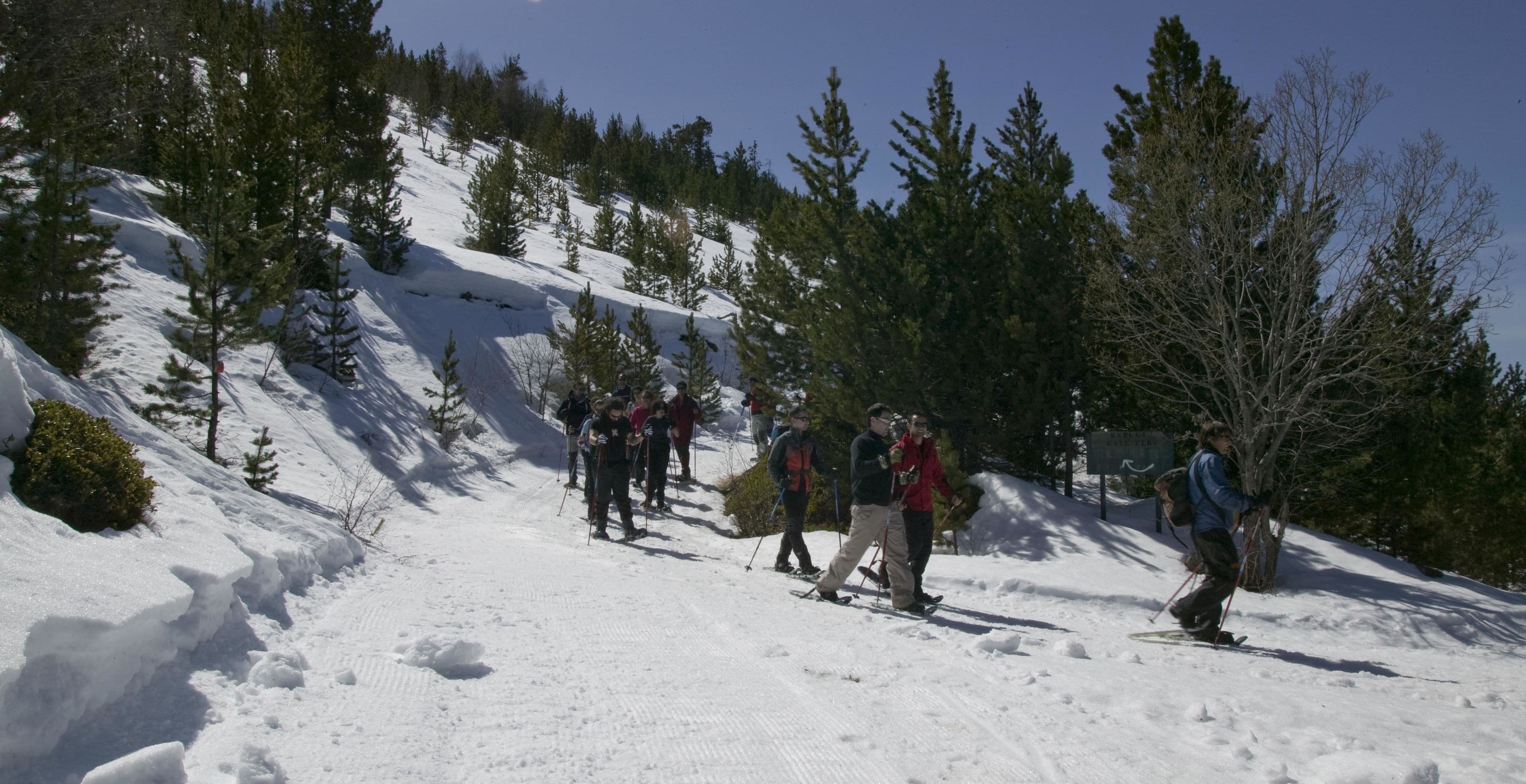 snowshoeing