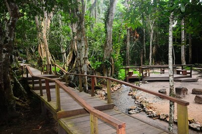 Ikogosi Warm Springs
