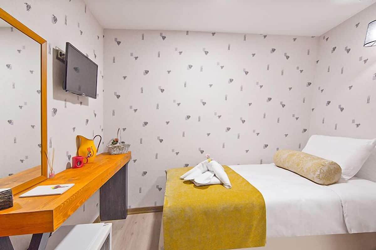 Economy Single Room, 1 Bedroom | Premium bedding, minibar, in-room safe, desk