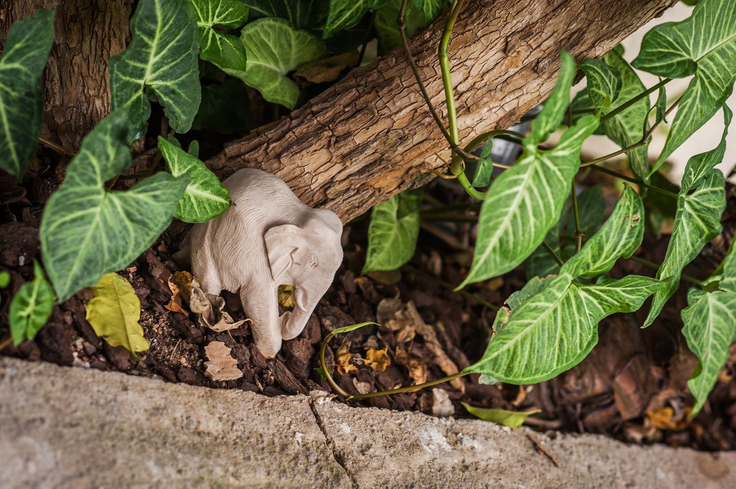 Une petite figurine d’éléphant est placée sous un arbre, entourée de feuilles vertes et de terre.