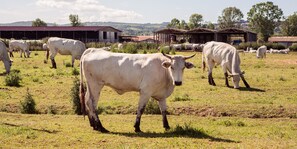 المنطقة المحيطة بالمنشأة