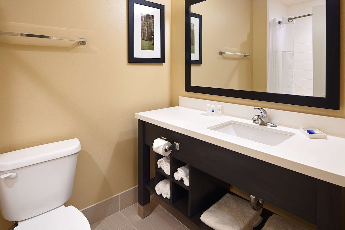 designer toiletries, hair dryer, towels