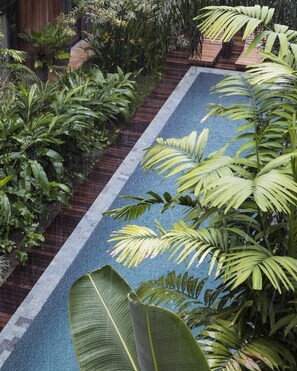 Piscine extérieure, chaises longues
