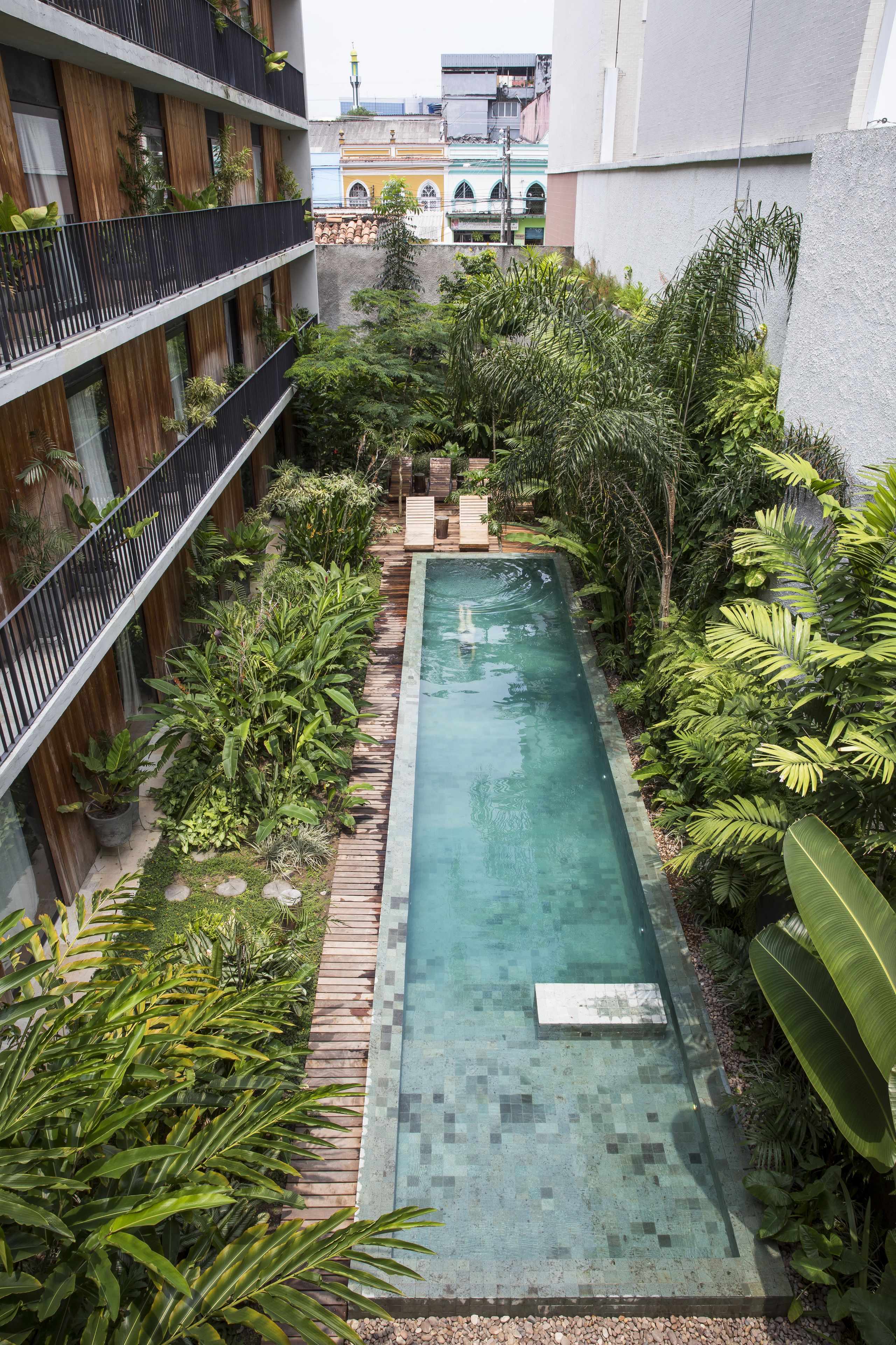 Una piscina en la azotea rodeada de exuberante vegetación, con vistas a un edificio lejano.