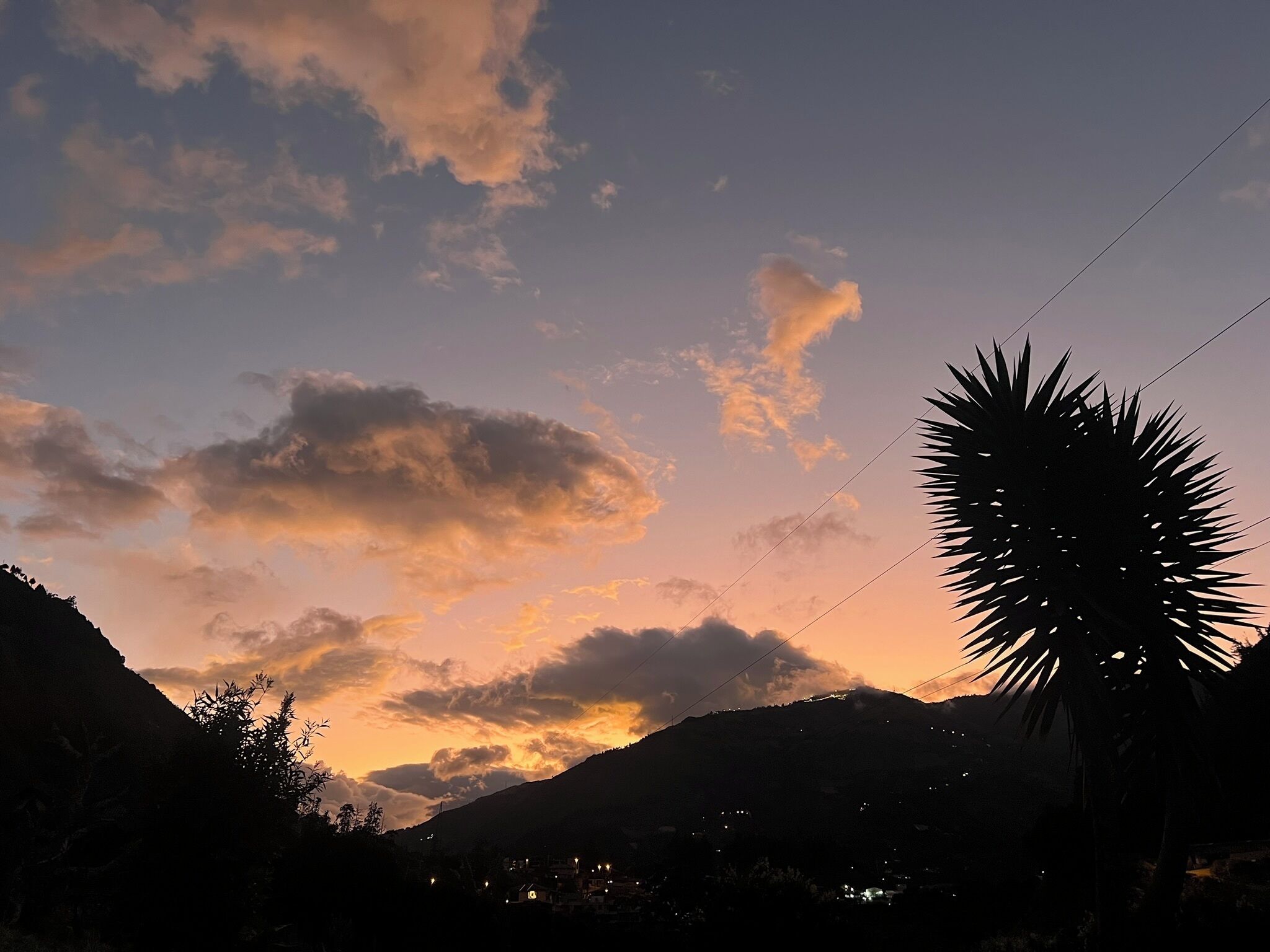 Paisaje montañoso al atardecer con siluetas de árboles y una planta puntiaguda en primer plano.