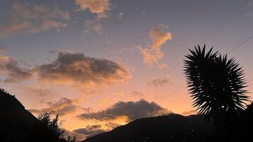 Paisaje montañoso al atardecer con siluetas de árboles y una planta puntiaguda en primer plano.