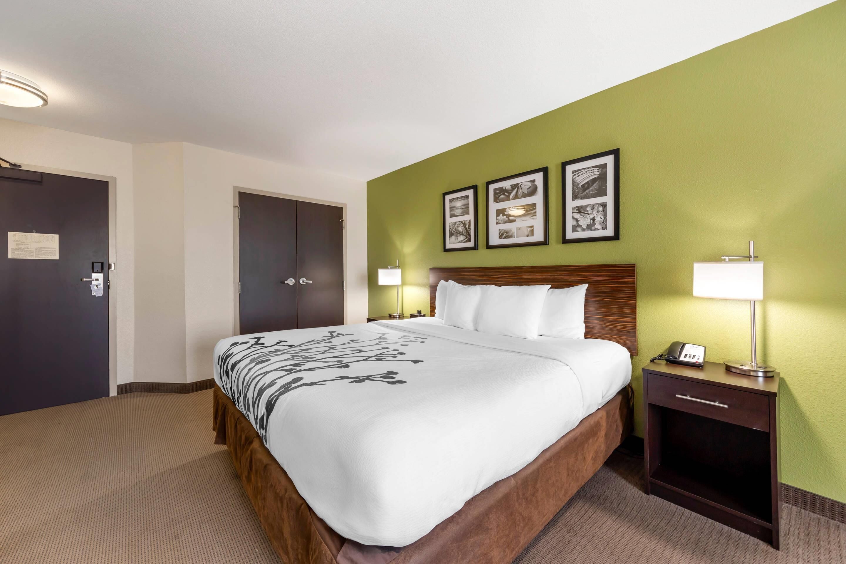 A hotel room with a large bed, a bedside table with a lamp, and a wall with framed pictures.