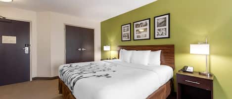A hotel room with a large bed, a bedside table with a lamp, and a wall with framed pictures.