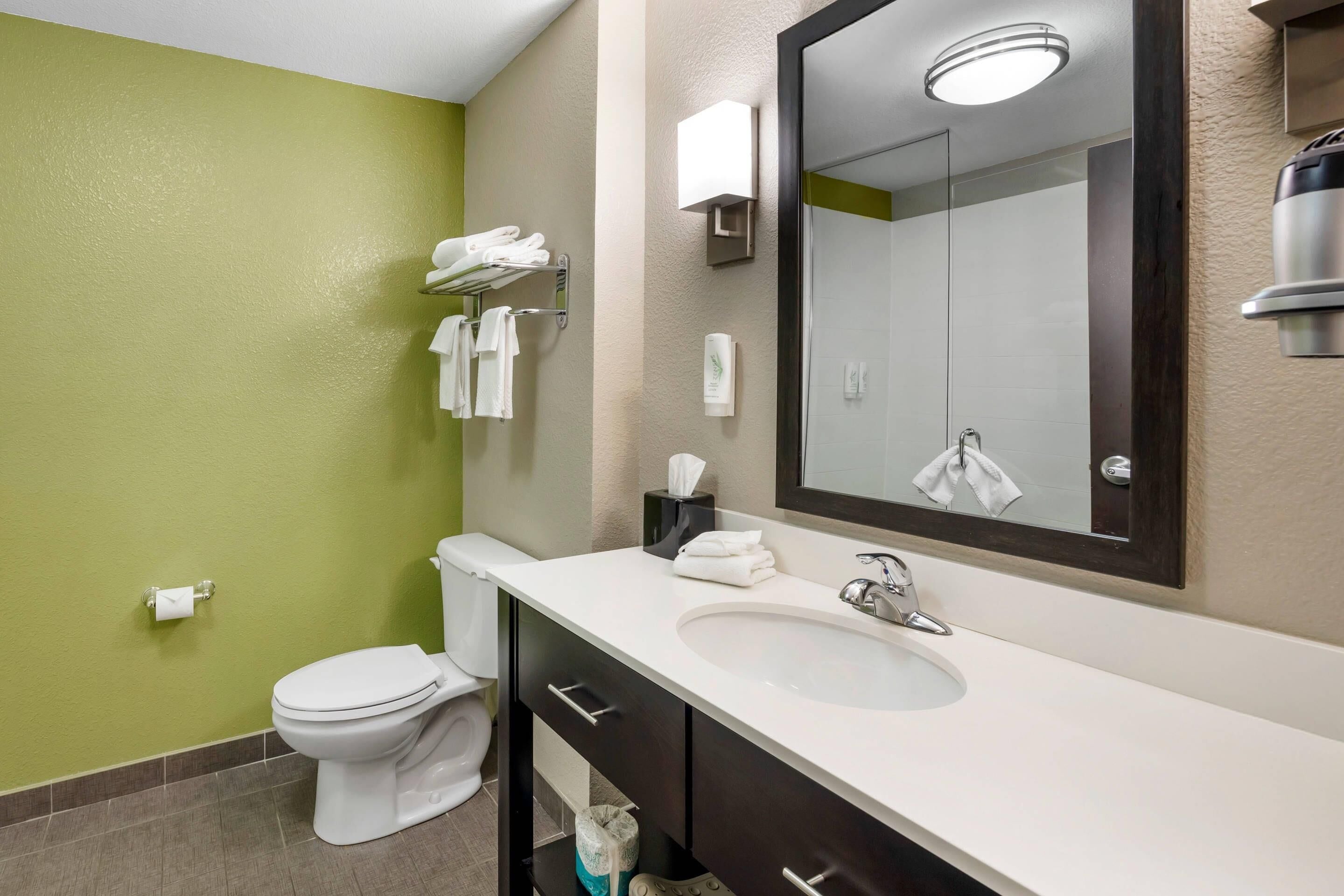 suite, 1 king bed with sofa bed, non smoking (2 person sofa bed) | desk, laptop workspace, blackout curtains, iron/ironing board