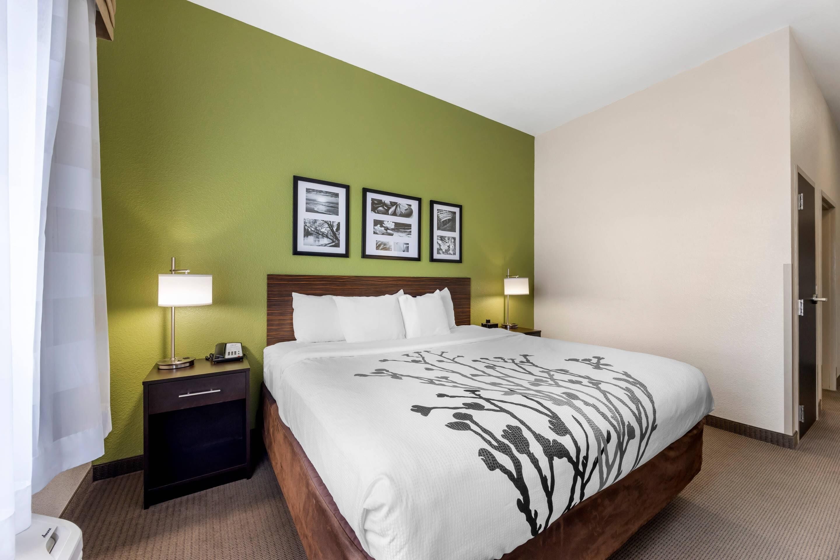 Une chambre d’hôtel avec un grand lit, des murs verts et trois tableaux encadrés accrochés au mur.