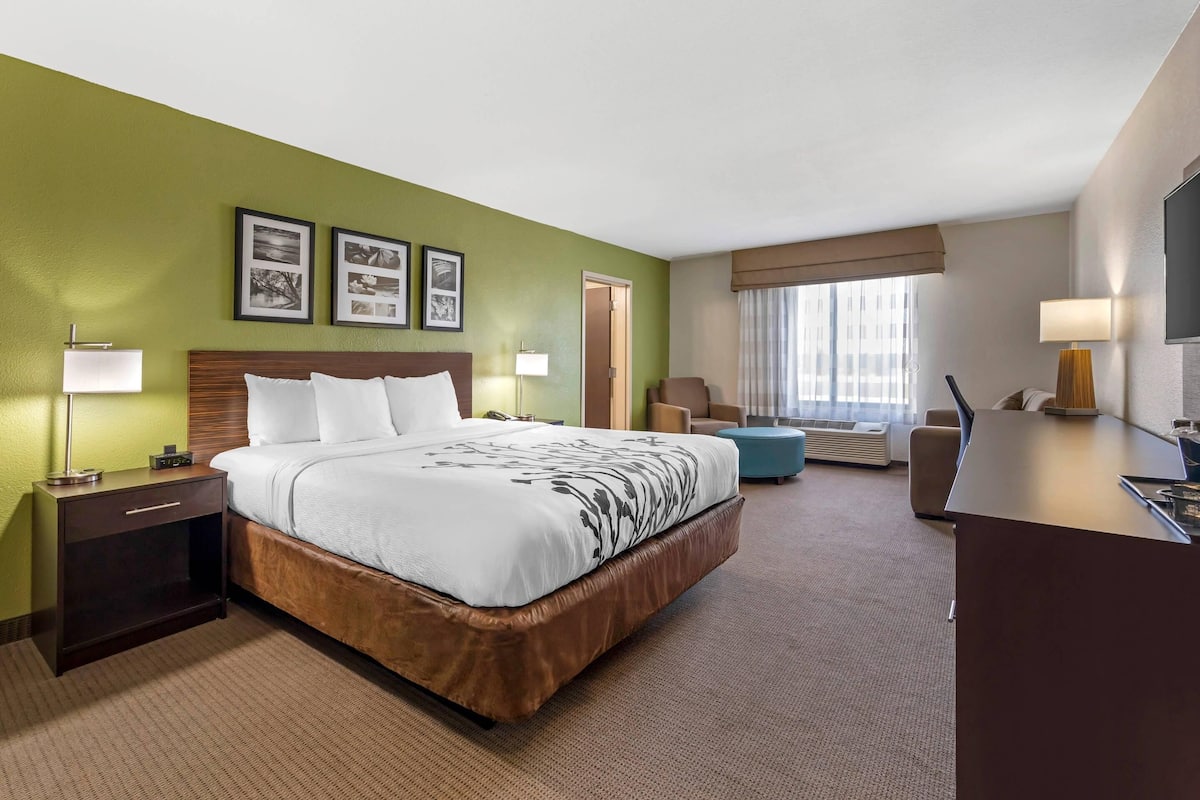 A hotel room with a large bed, a desk, a chair, and a television.