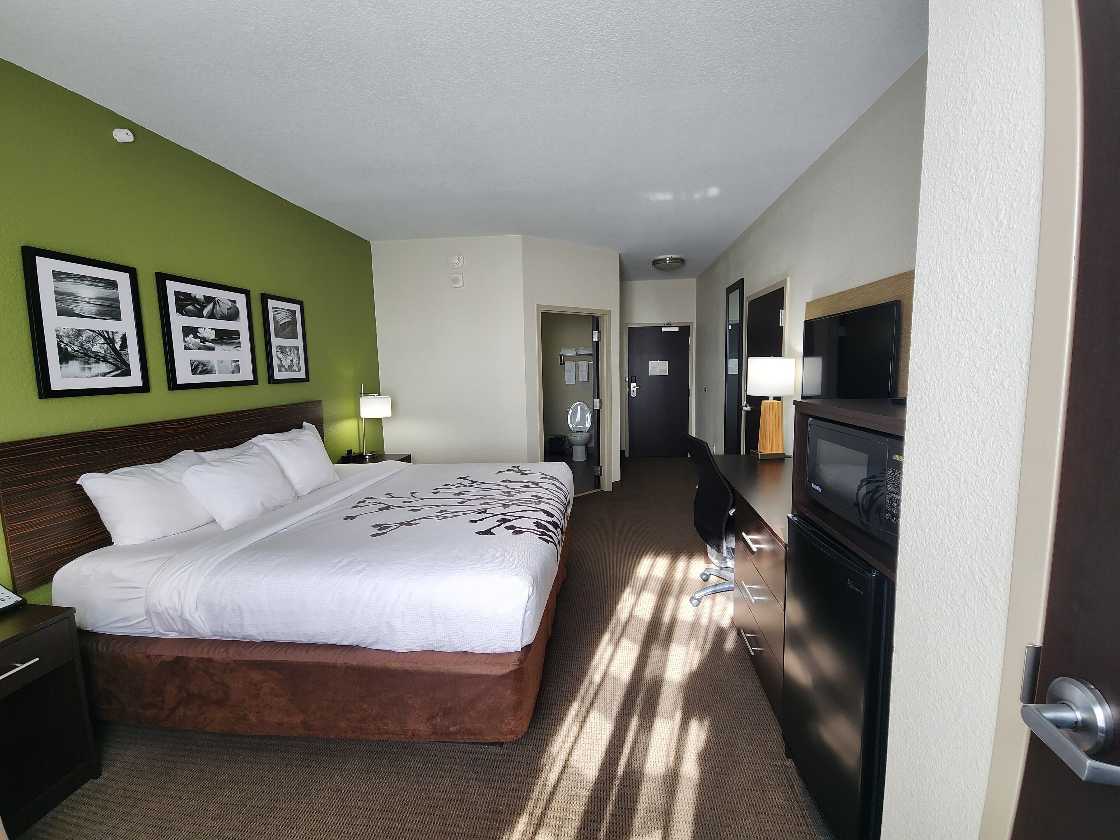 standard room, 1 king bed, non smoking (shower only) | desk, laptop workspace, blackout curtains, iron/ironing board