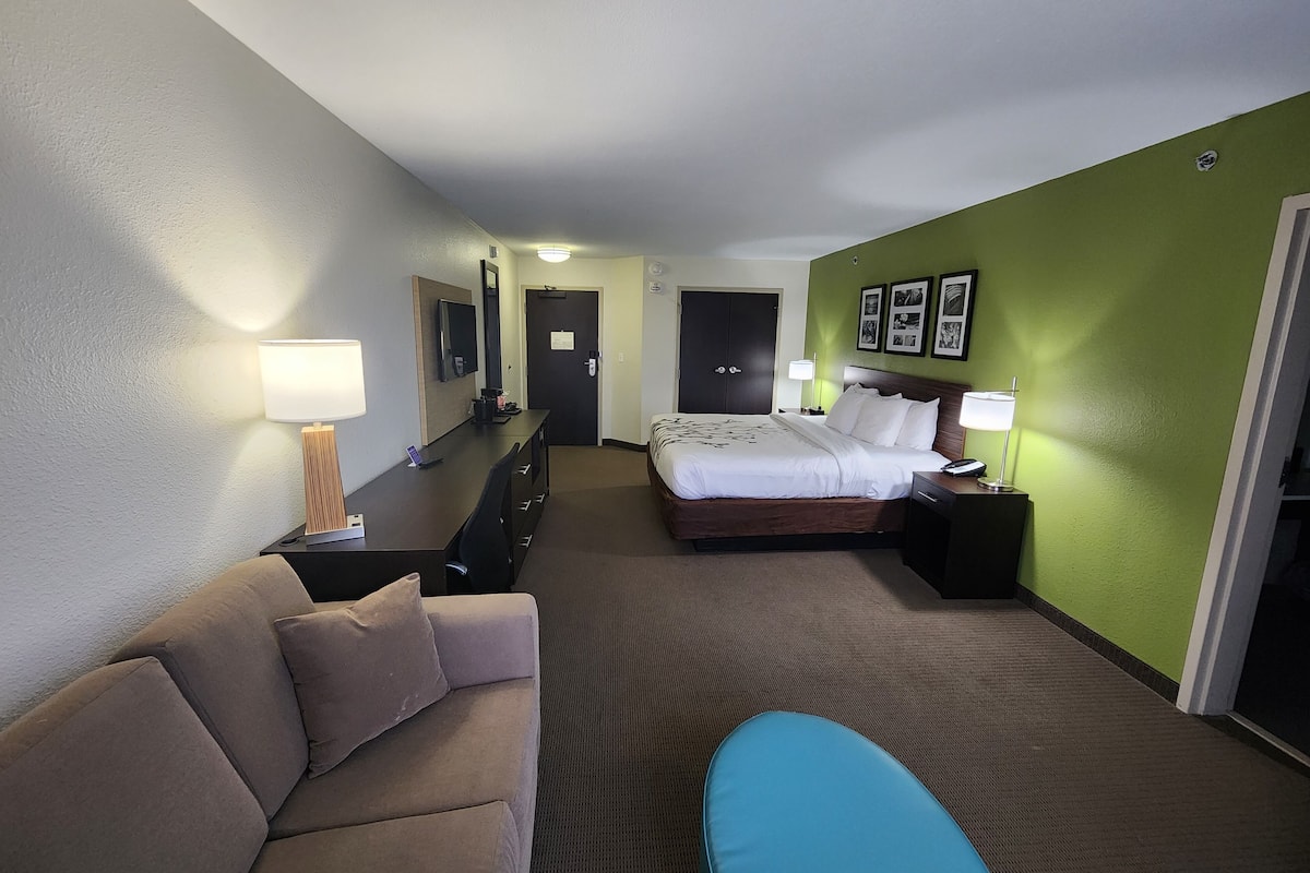 suite, 1 king bed with sofa bed, non smoking (2 person sofa bed) | desk, laptop workspace, blackout curtains, iron/ironing board