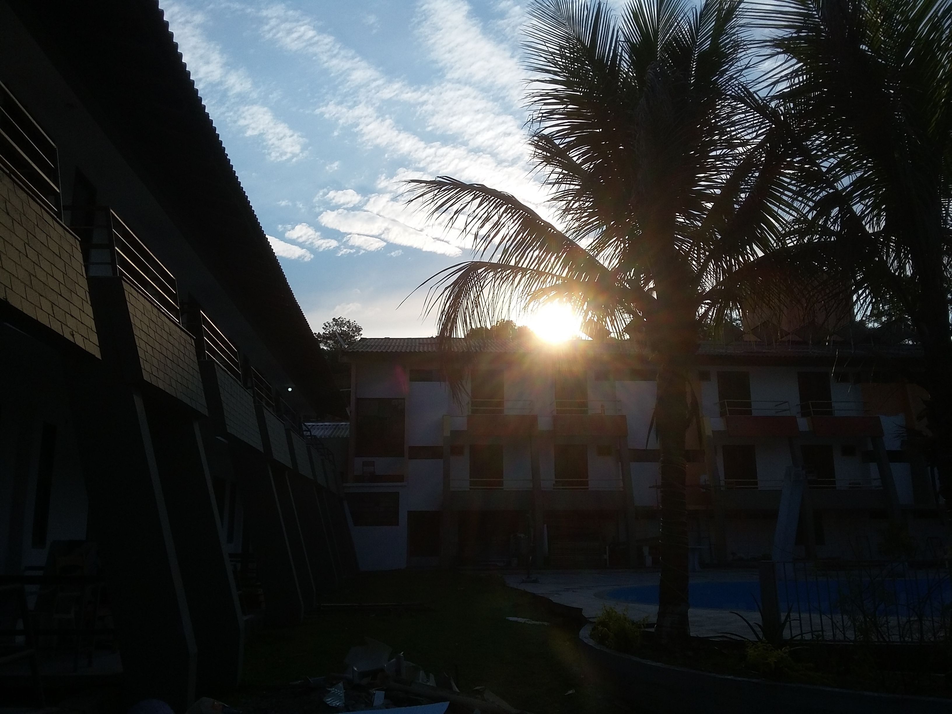 A building with a flat roof and a palm tree in front.