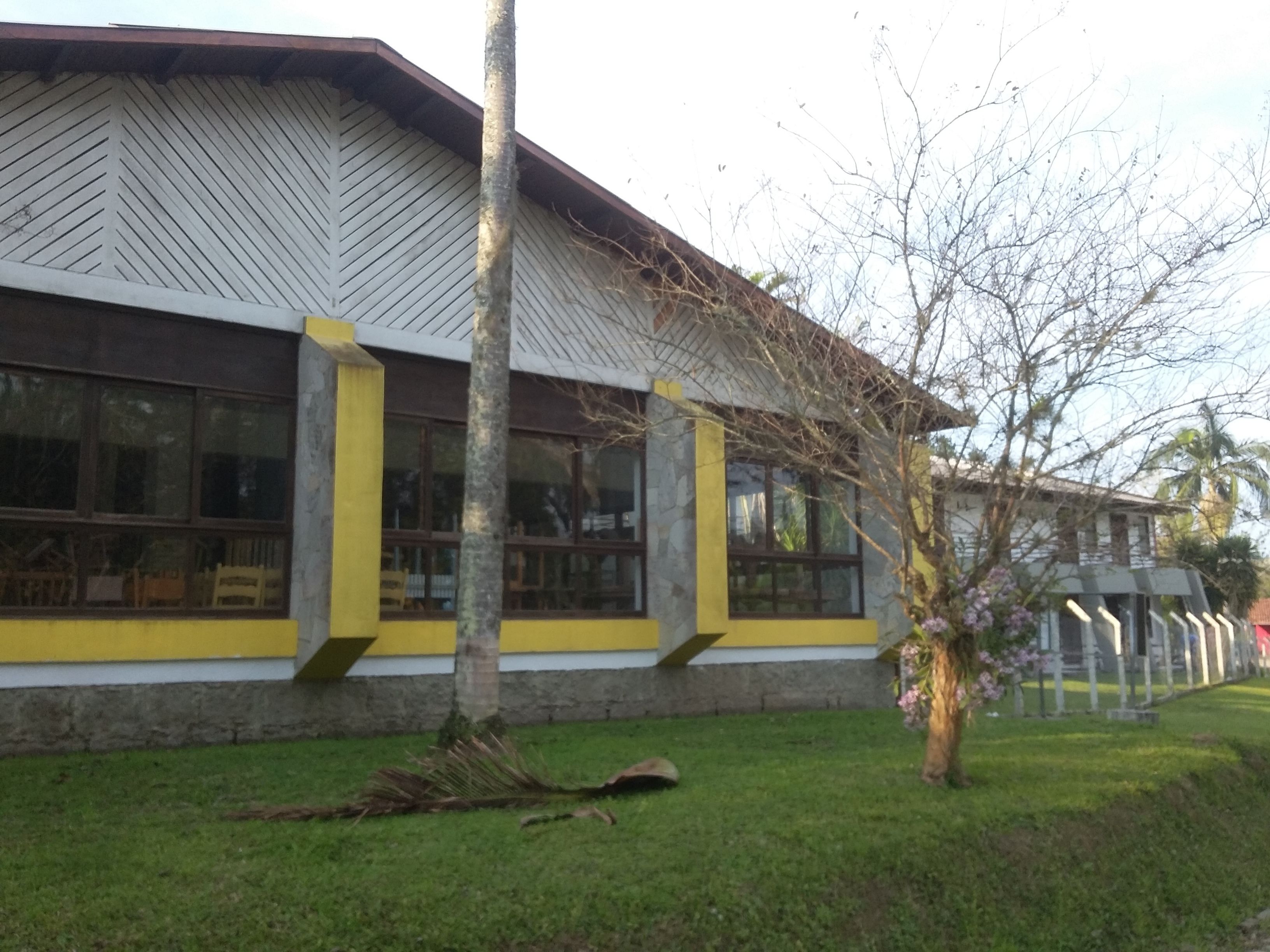 Un edifici amb grans finestres, façana groga i blanca, i un arbre al primer pla.