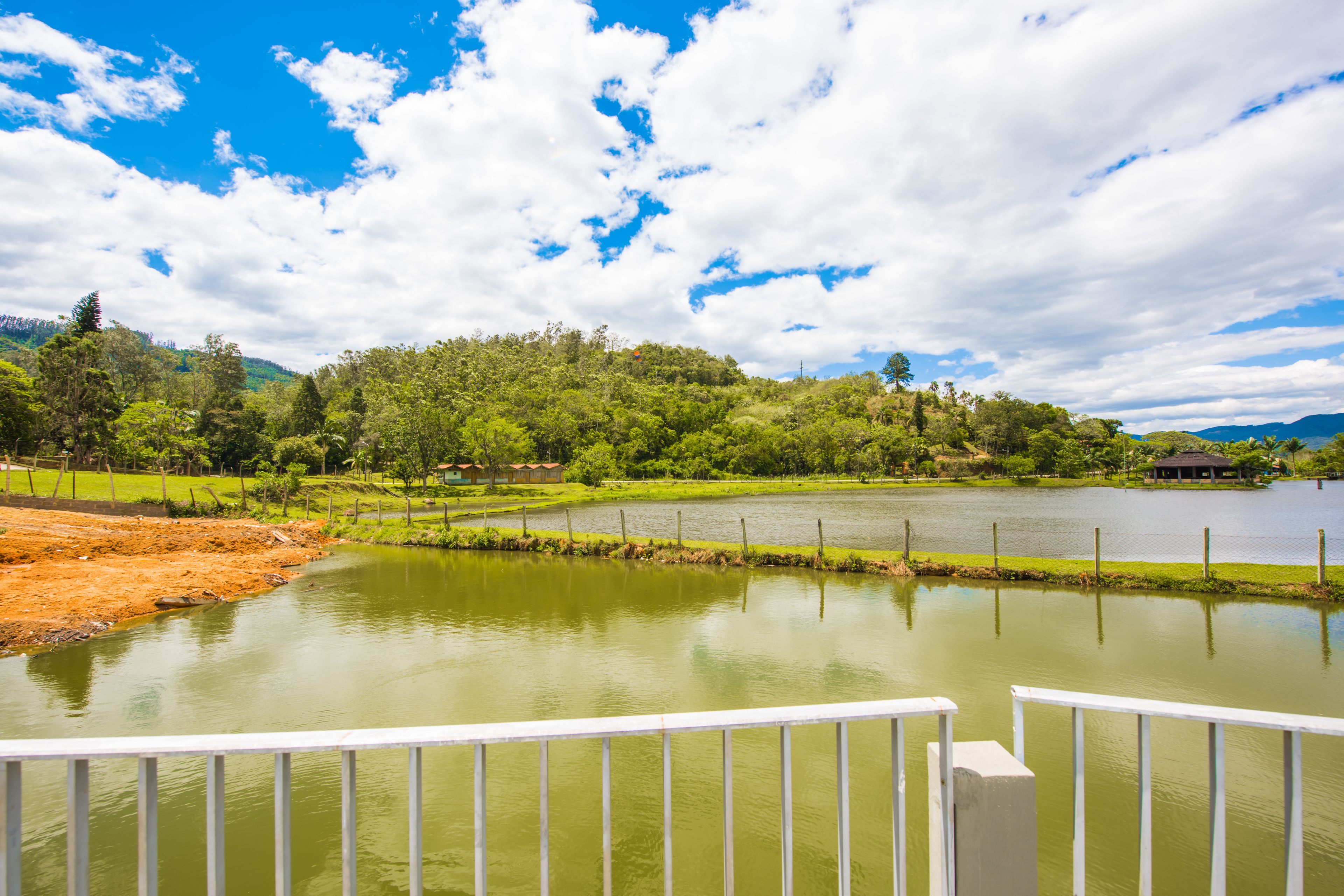 Una vista tranquila de un lago con una terraza de madera y una zona verde.