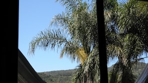 Vista a través de una ventana con una hamaca, palmeras y un paisaje montañoso.