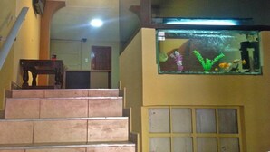 Una escalera con un acuario en la pared.