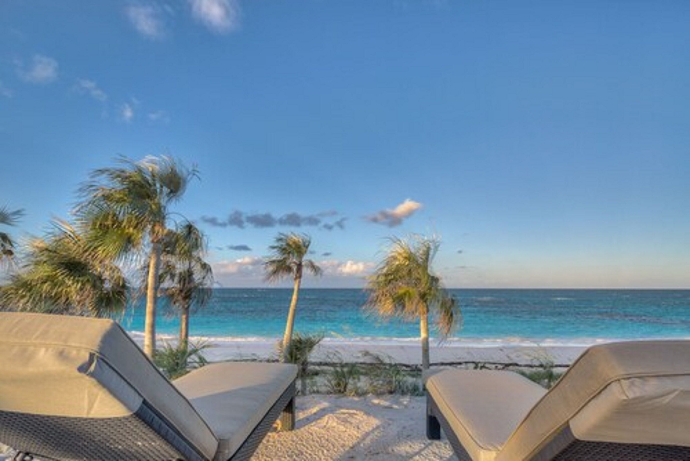 Vista de la playa con sillas de descanso y palmeras.