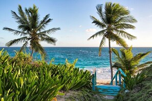 A beach with palm trees and a staircase leading to a beach area. - La Bougainvillea Hotel and Villas (North Palmetto Point)