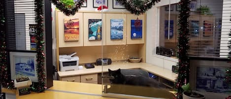 Ein Empfangstresen mit Glastrennwand, verziert mit Weihnachtskränzen und gerahmten Bildern.