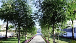 Uma trilha bordeada por árvores e flores roxas, que leva a um edifício.