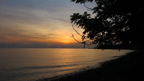 A sunset over a calm sea with a silhouette of a tree on the right. - Sea Hua Ha Ha - Hostel (Tulamben)