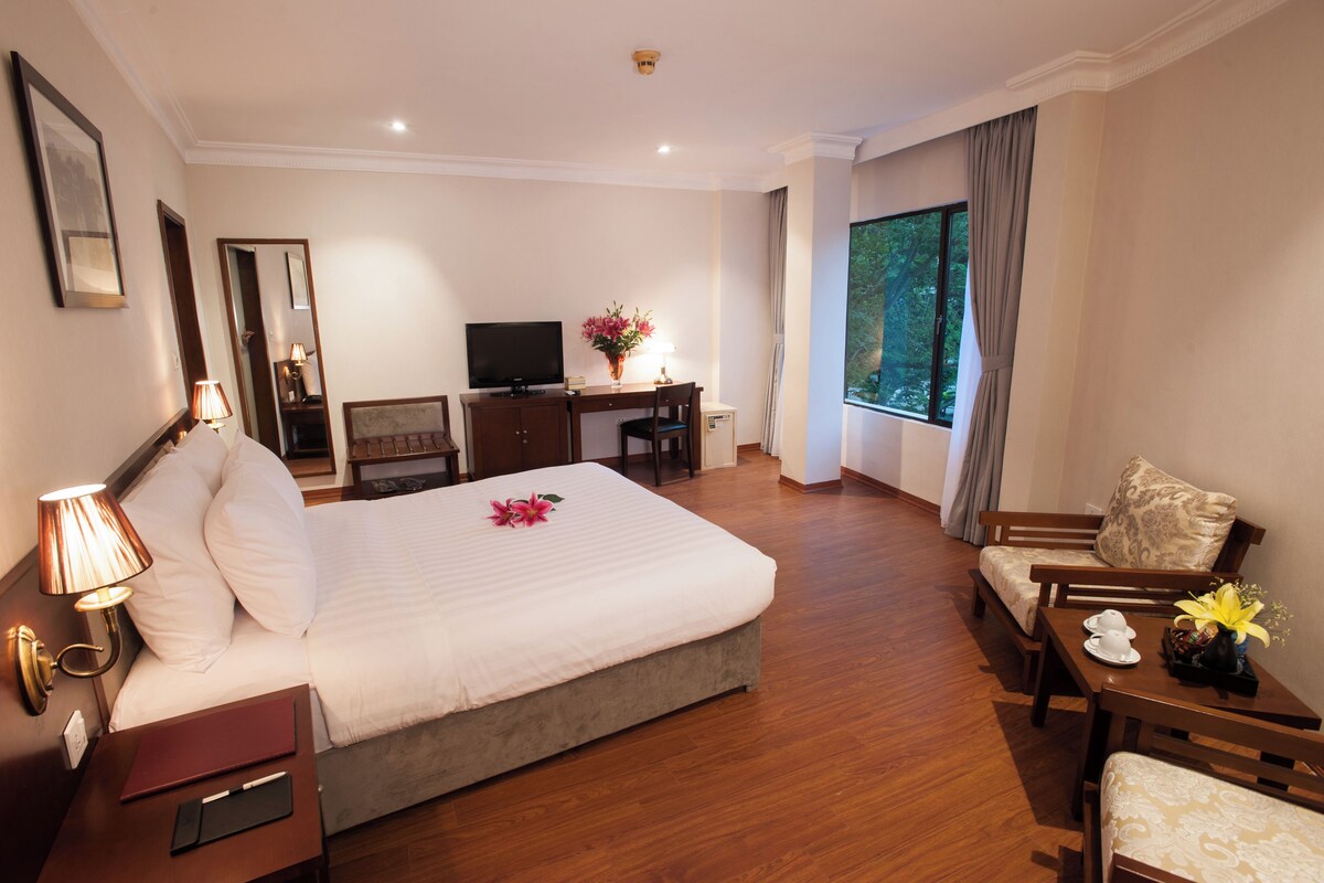 A hotel room with a bed, a desk, a television, a chair, and a window.
