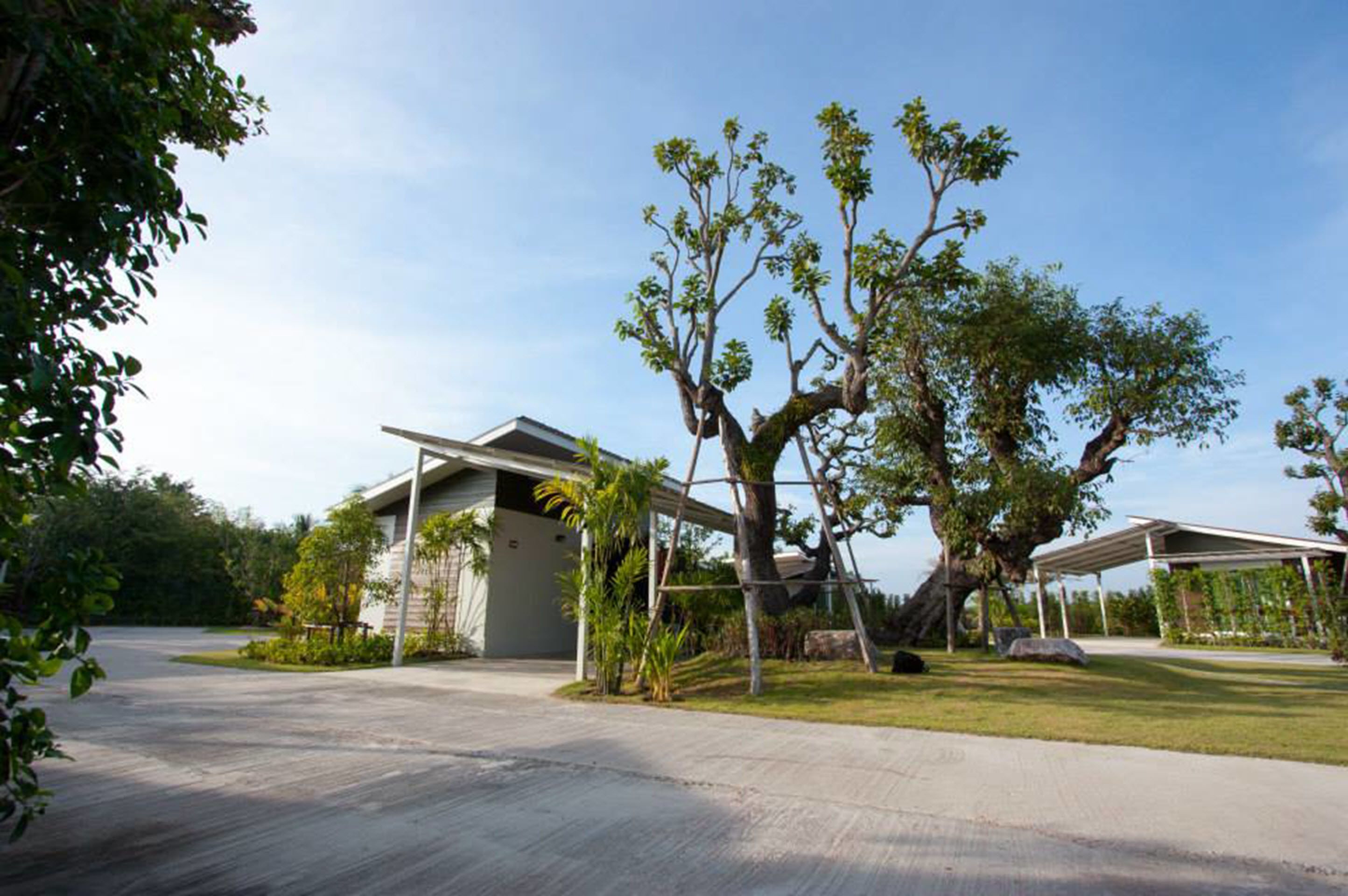 Een modern huis met een overdekte veranda, een grote boom en een verzorgd gazon.