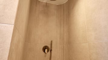A modern shower with a handheld showerhead and a wall-mounted control.
