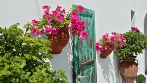 Un bâtiment blanc avec une porte verte et des plantes en pot ornées de fleurs roses.