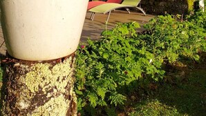 A house with a garden, a large potted plant with flowers, and a red and green lounge chair. - La Cuvellerie (Narcy)