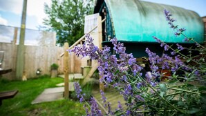 Entorno rural al aire libre con una estructura verde, posiblemente un cobertizo o granero, y plantas con flores moradas en primer plano.