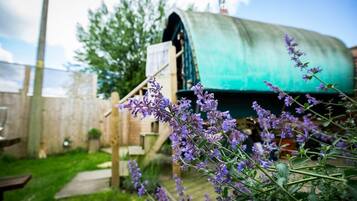 Tabla de planchar con plancha y wifi gratis