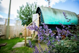 A rustic outdoor setting with a green structure, possibly a shed or barn, and purple flowering plants in the foreground.