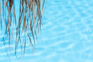 Una piscina al aire libre, sombrillas, sillones reclinables de piscina