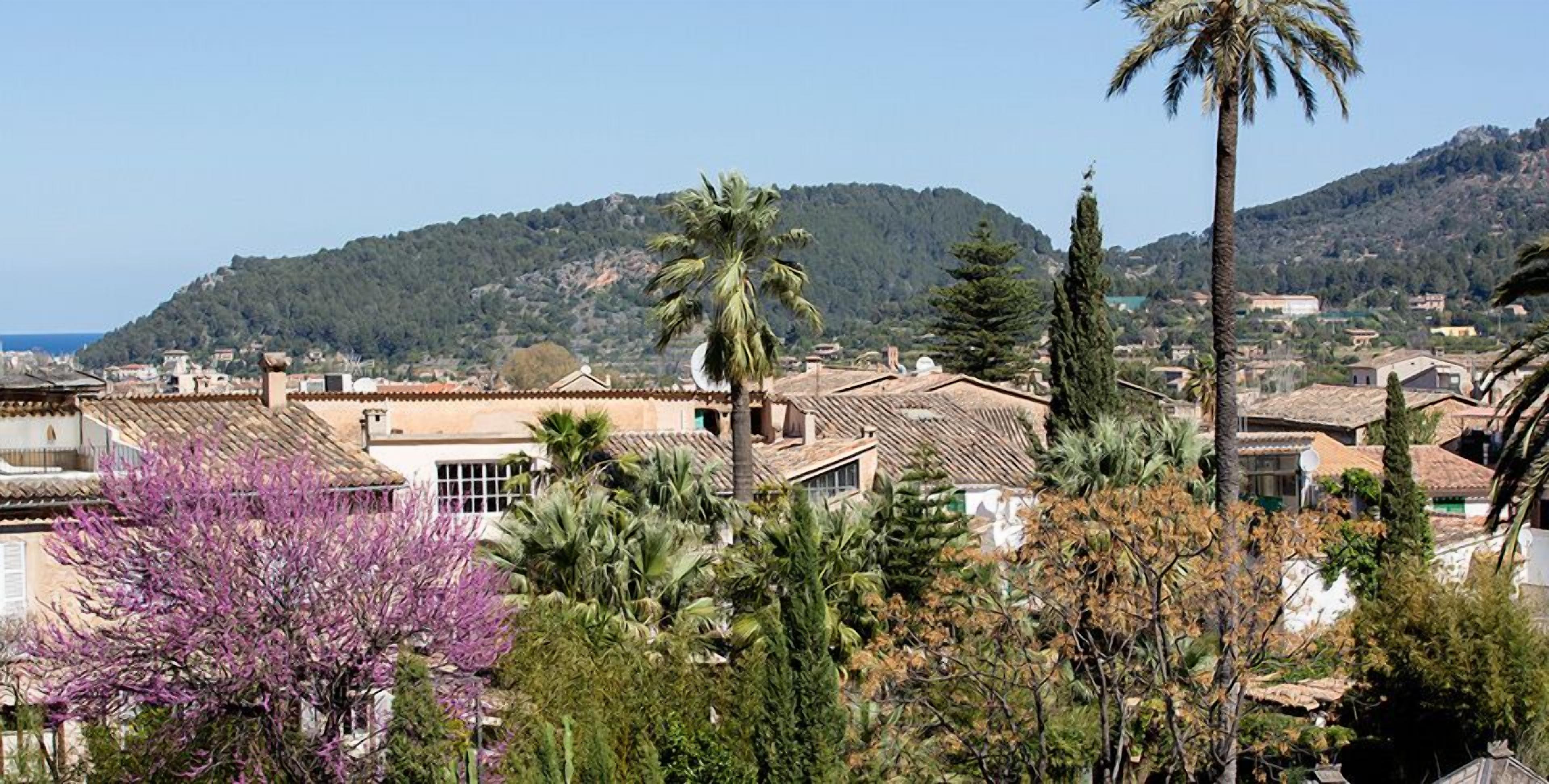 panoramic double room, 1 king bed, pool view | mountain view