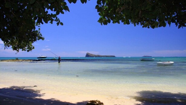 Una playa cerca