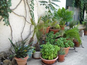 Property grounds - La Regina di Adrano (Sambuca di Sicilia)