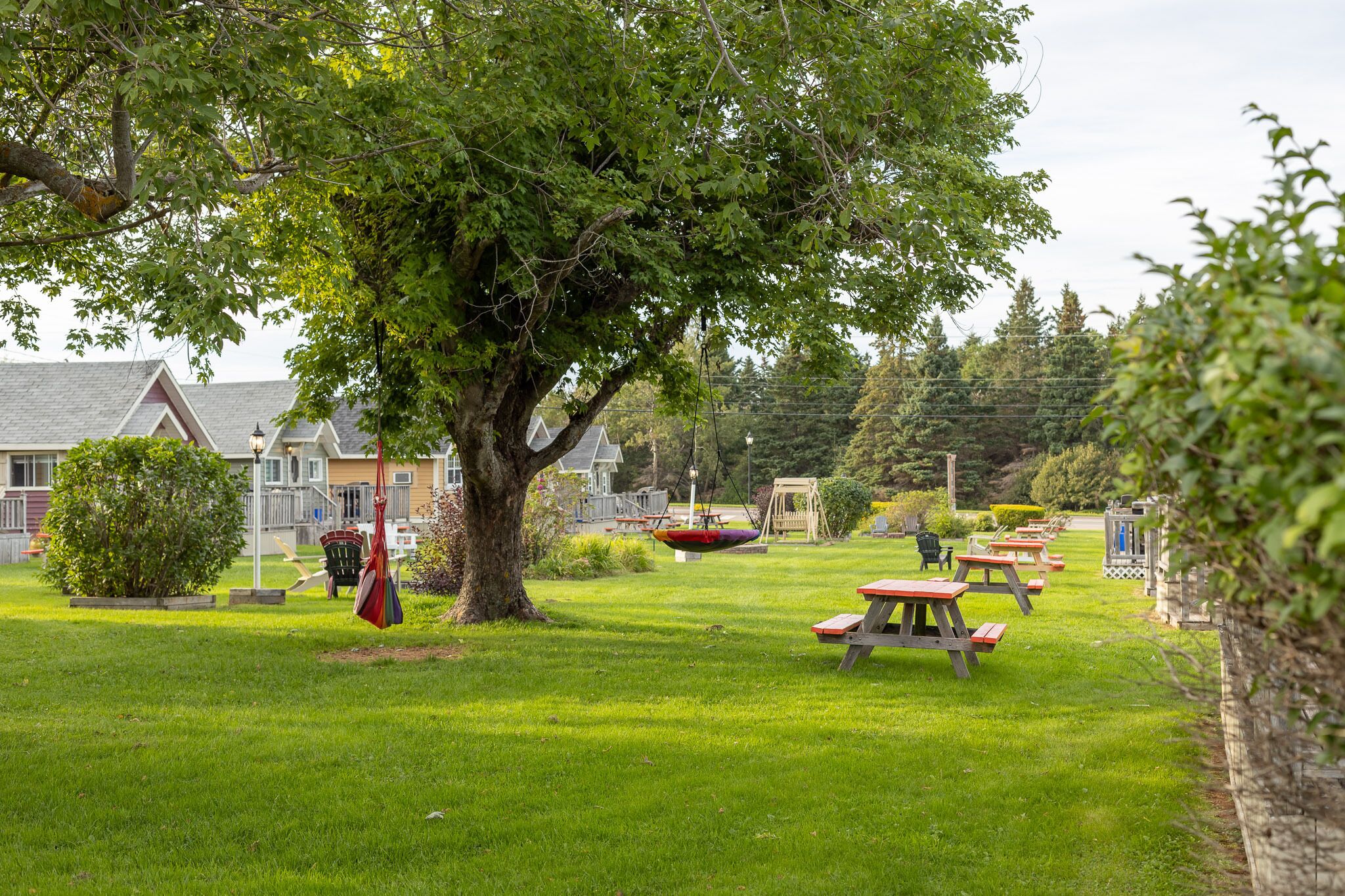 Une zone herbeuse avec des tables de pique-nique et une balançoire, entourée d’arbres et d’un bâtiment doté d’un toit en pente.