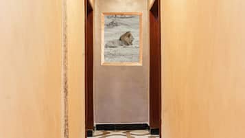 Habitación doble | Terraza o patio