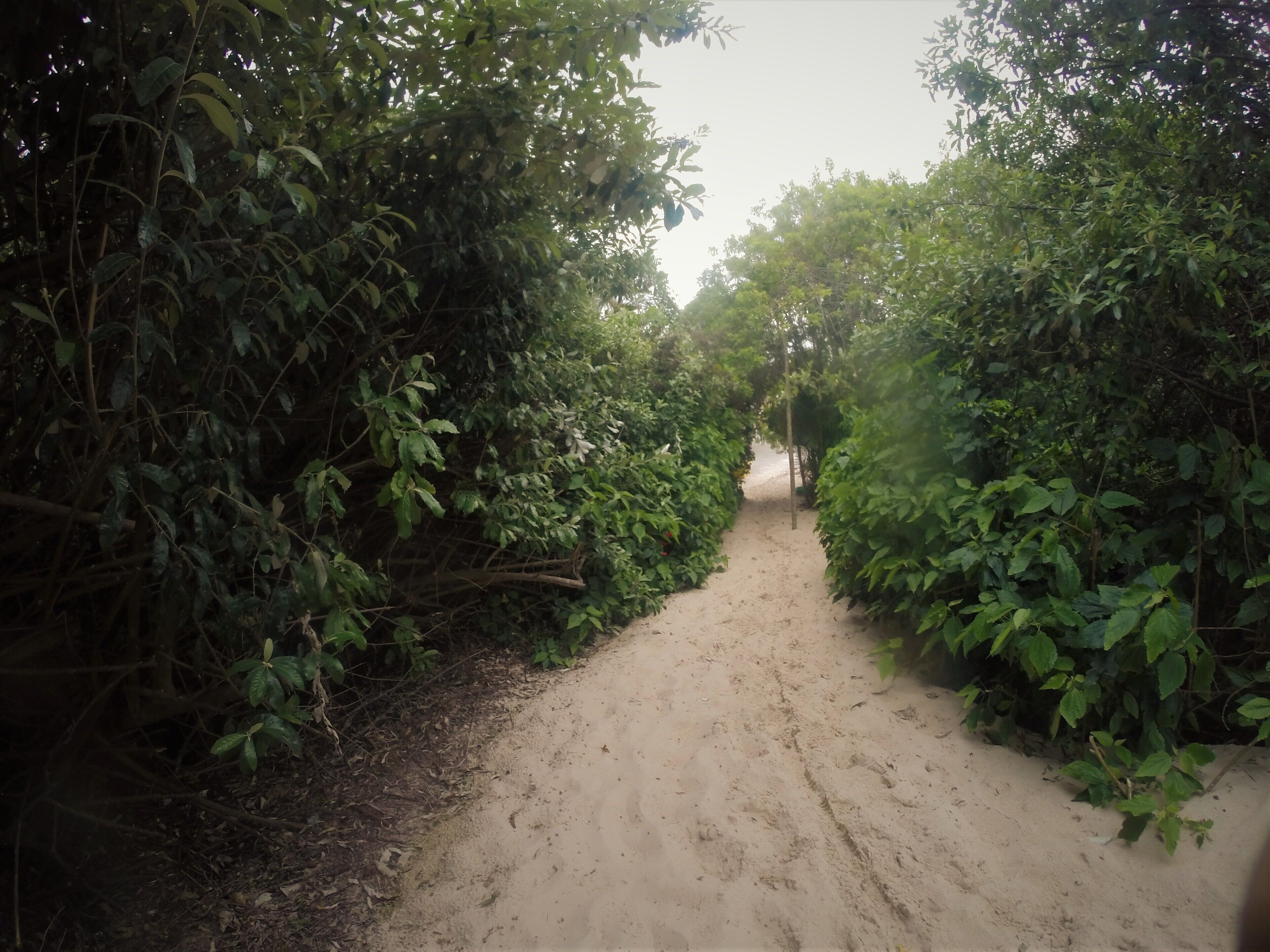 Foto - Floripa Surf Hostel