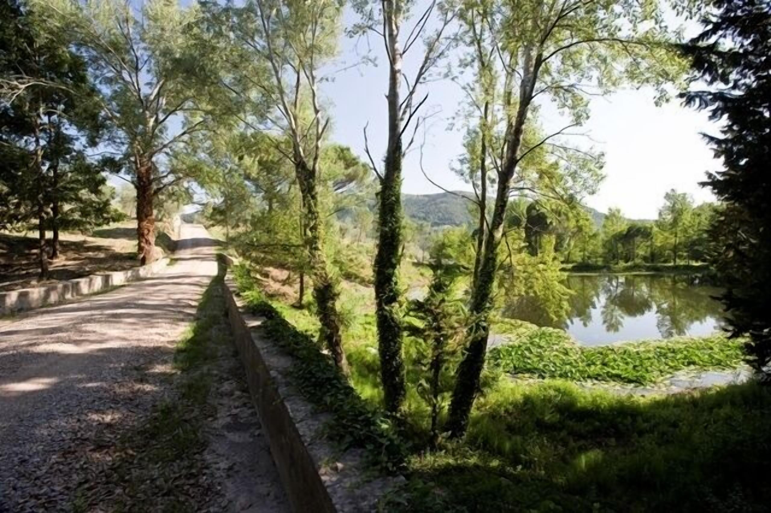 A pathway beside a calm water body, surrounded by trees and greenery.