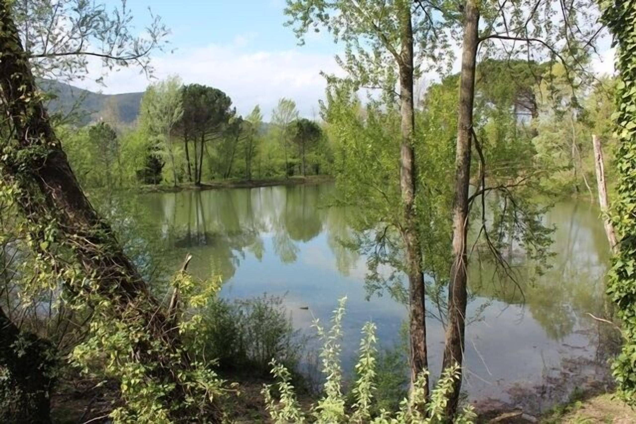 Un lago tranquilo rodeado de árboles y una montaña al fondo.