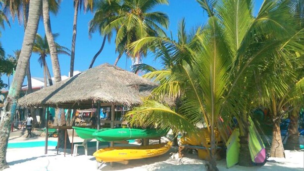 Une plage bordée de cabanes aux toits de chaume, de palmiers et de kayaks aux couleurs vives.