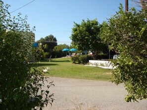 Property grounds - Angelos Studios (Kos)