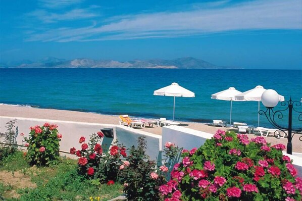 الإطلالة من المنشأة